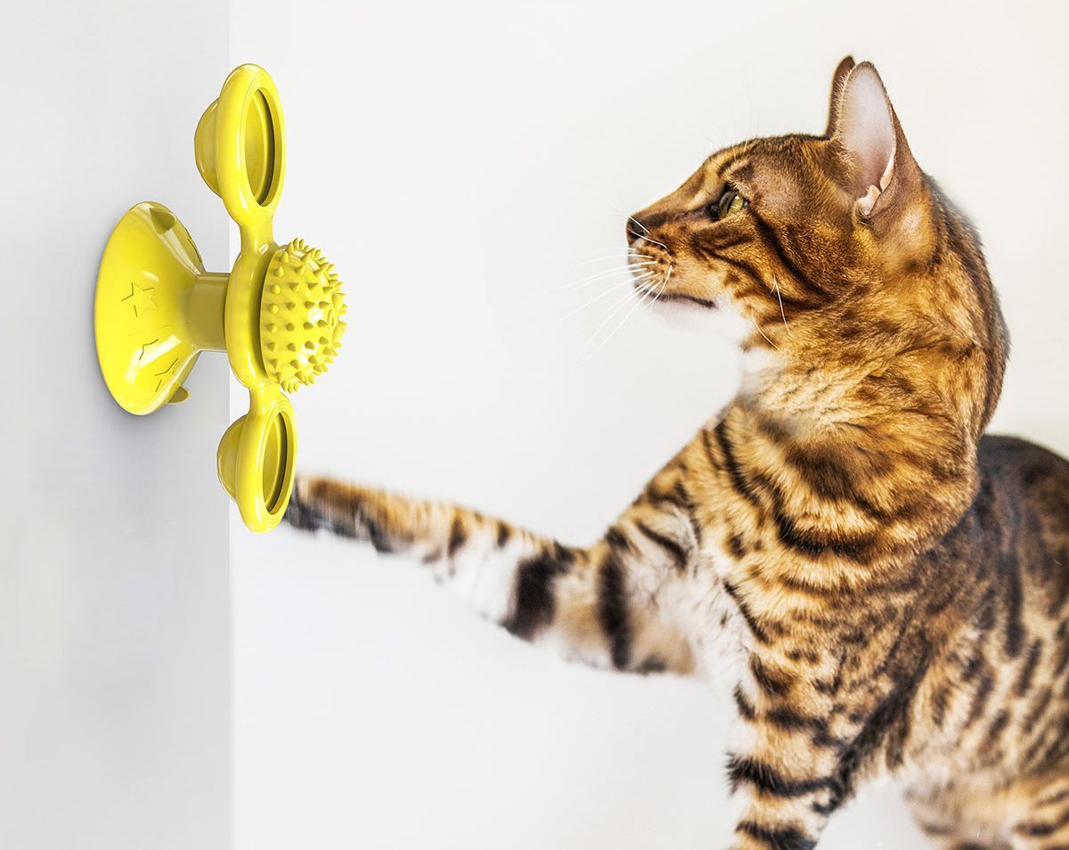 Rotating Suction Cup Cat Toy with Catnip and LED Ball