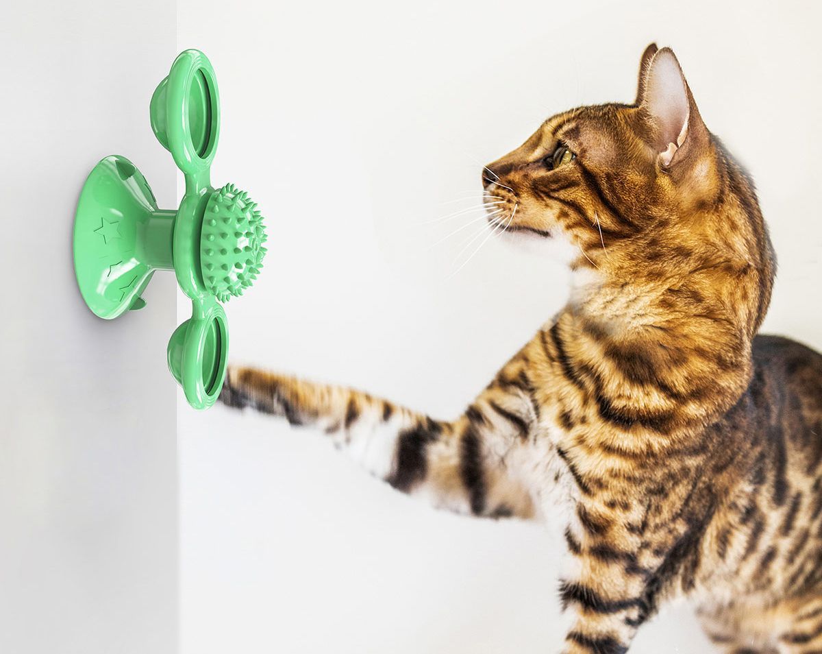 Rotating Suction Cup Cat Toy with Catnip and LED Ball
