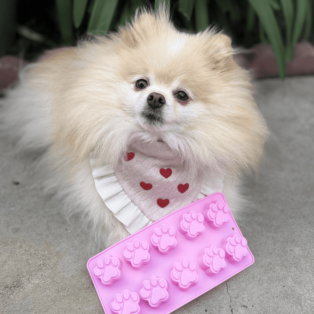 Silicone Treat Mold for Homemade Dog and Cat Snacks, 4.25" x 6.75"