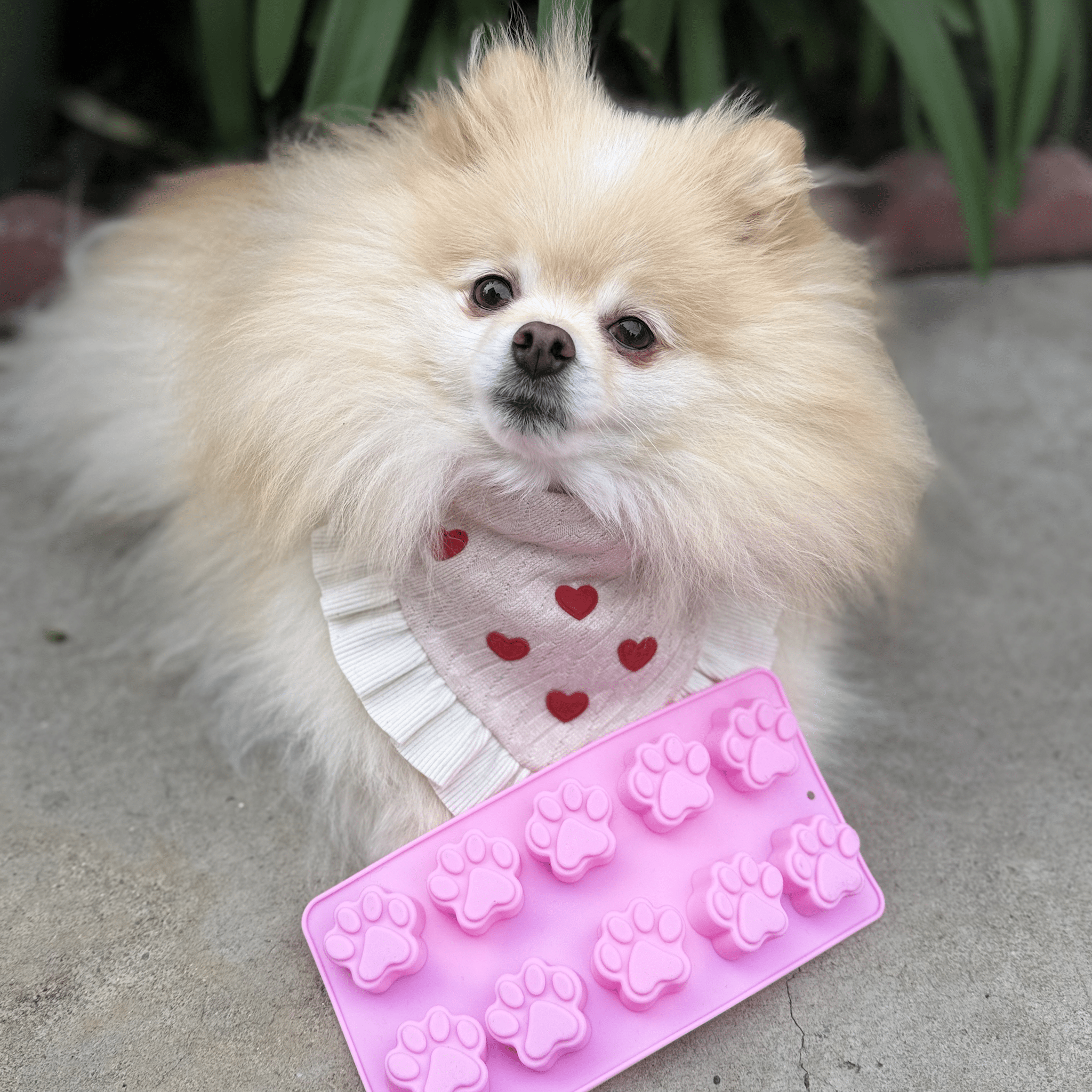 Silicone Treat Mold for Homemade Dog and Cat Snacks, 4.25" x 6.75"