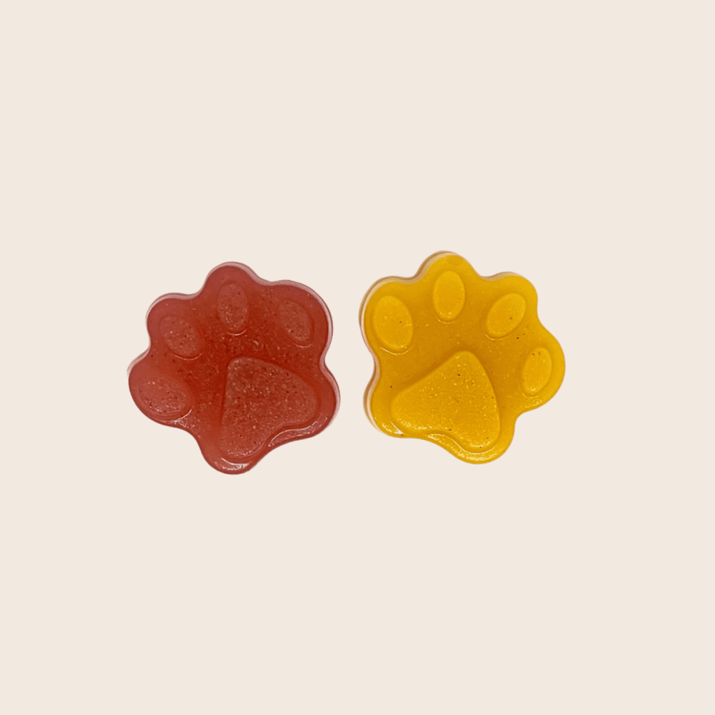 Silicone Treat Mold for Homemade Dog and Cat Snacks, 4.25" x 6.75"