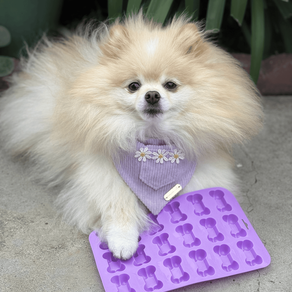Silicone Treat Mold for Homemade Dog and Cat Snacks, 4.25" x 6.75"