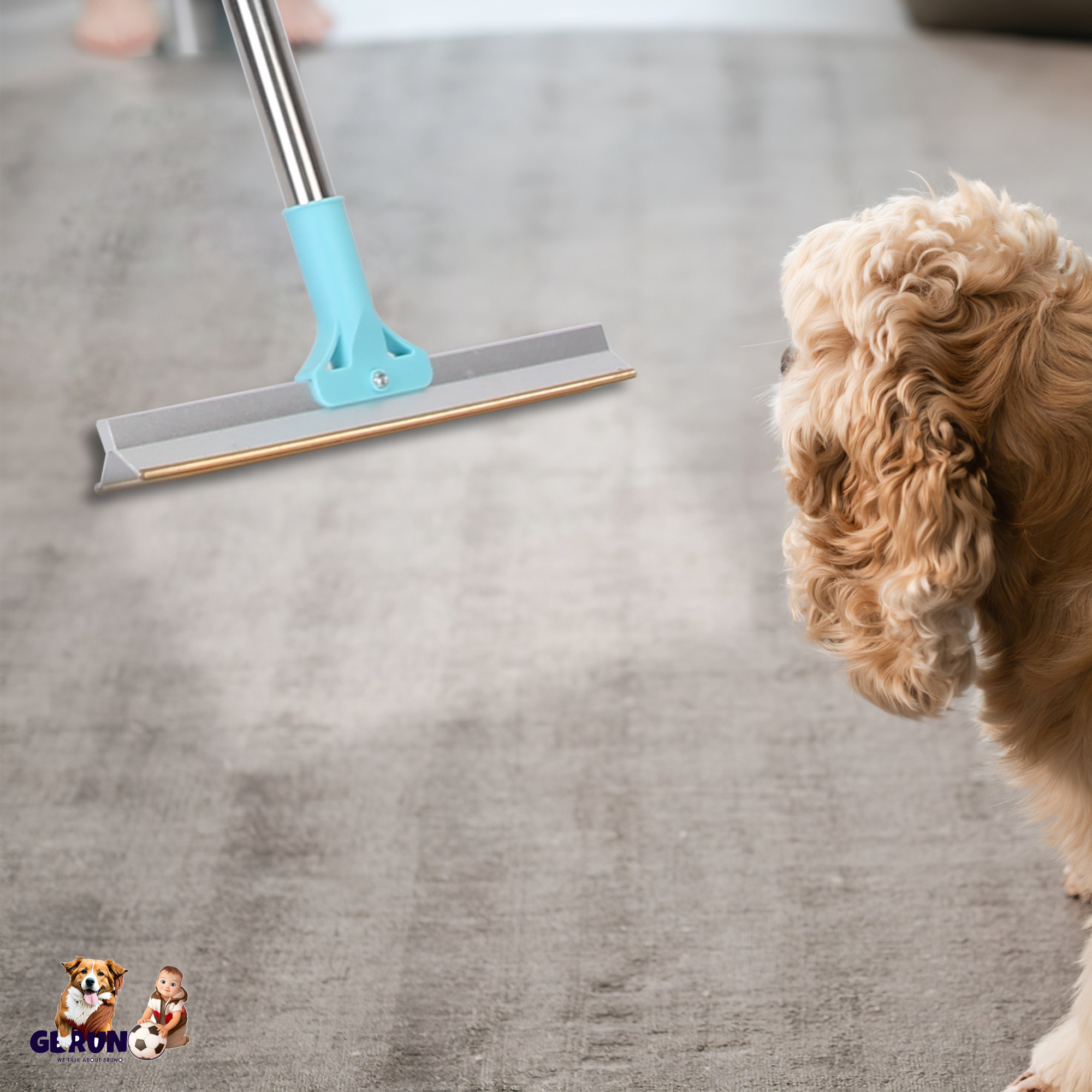 Pet Hair Removal Rake with Telescopic Handle