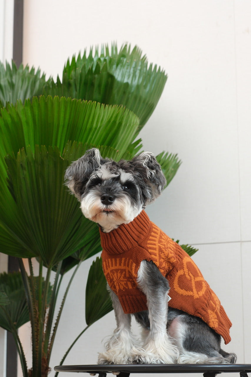Cozy Knit Pet Sweater in Breathable Acrylic Fiber, Six Sizes