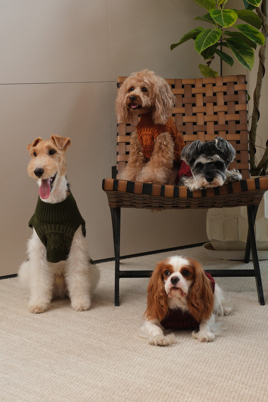 Cozy Knit Pet Sweater in Breathable Acrylic Fiber, Six Sizes