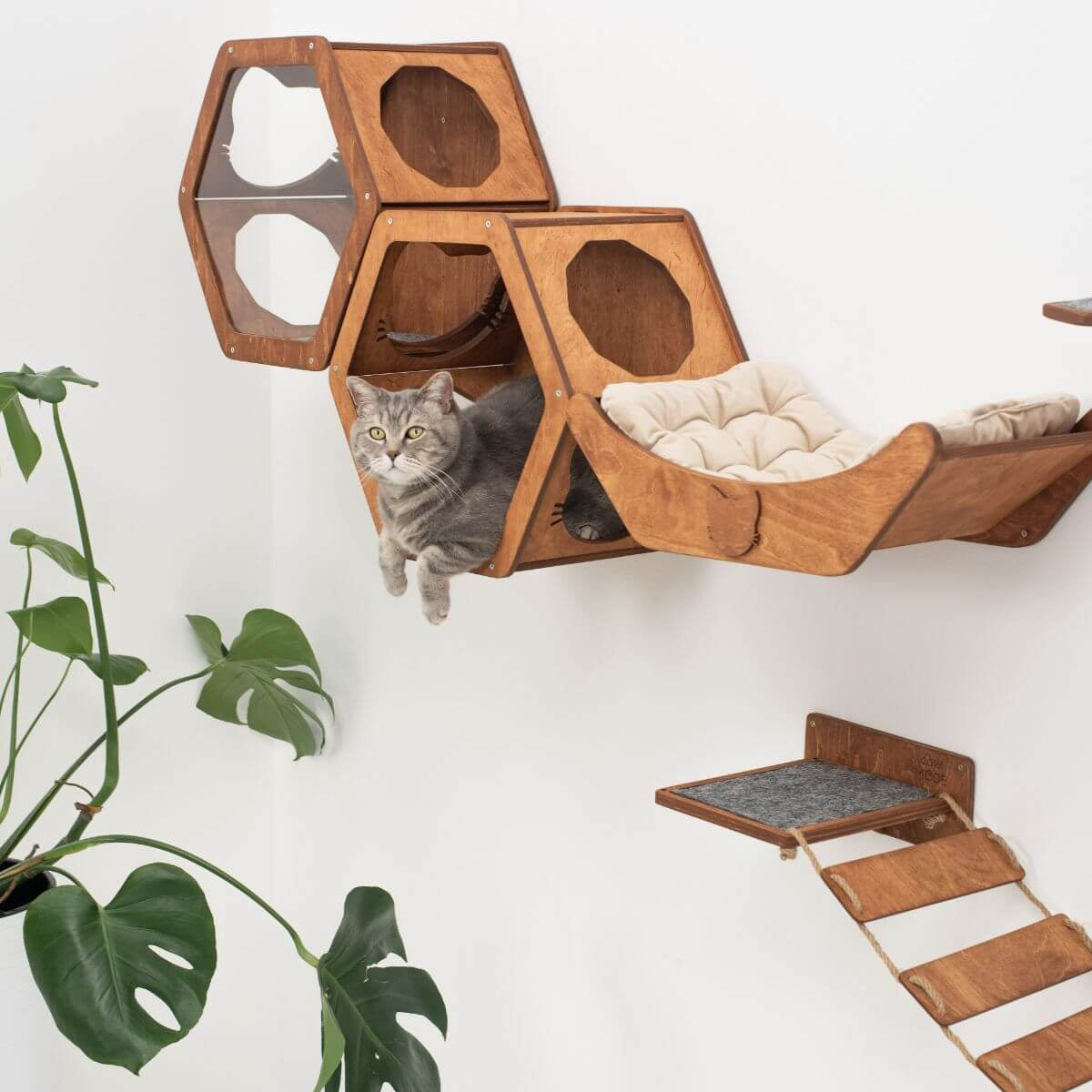 Enjoy The Wood Cat Sleeping Pillow and Play Cushion