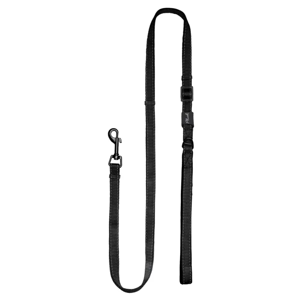 Adjustable Reflective Dog Leash with Padded Handle, Nylon & Neoprene