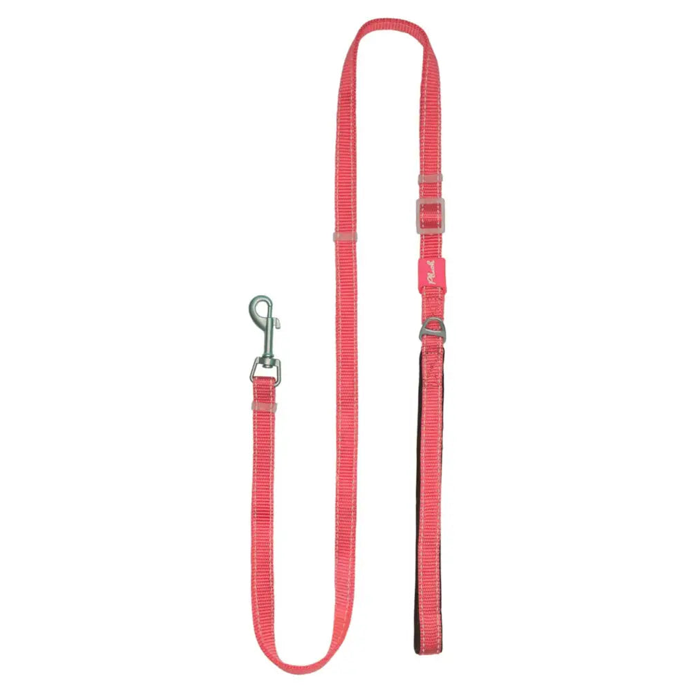 Adjustable Reflective Dog Leash with Padded Handle, Nylon & Neoprene