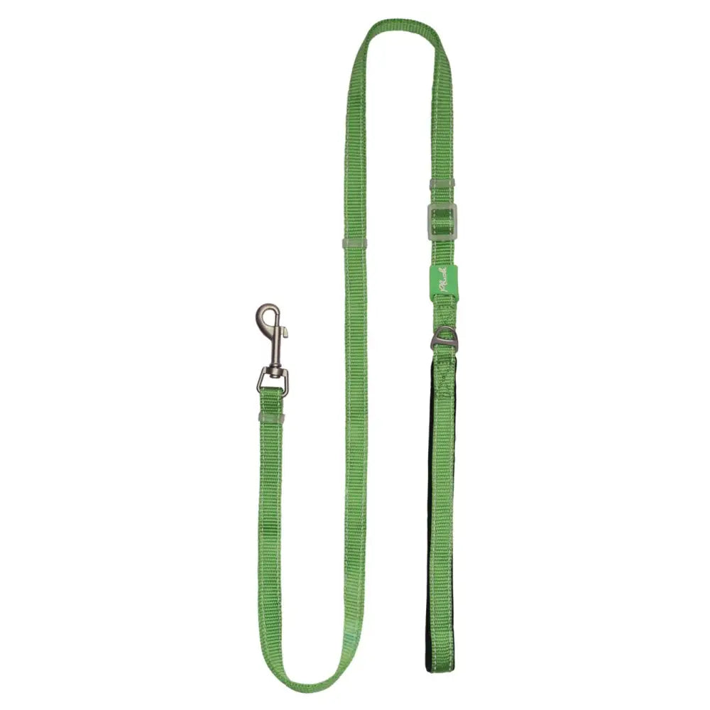 Adjustable Reflective Dog Leash with Padded Handle, Nylon & Neoprene