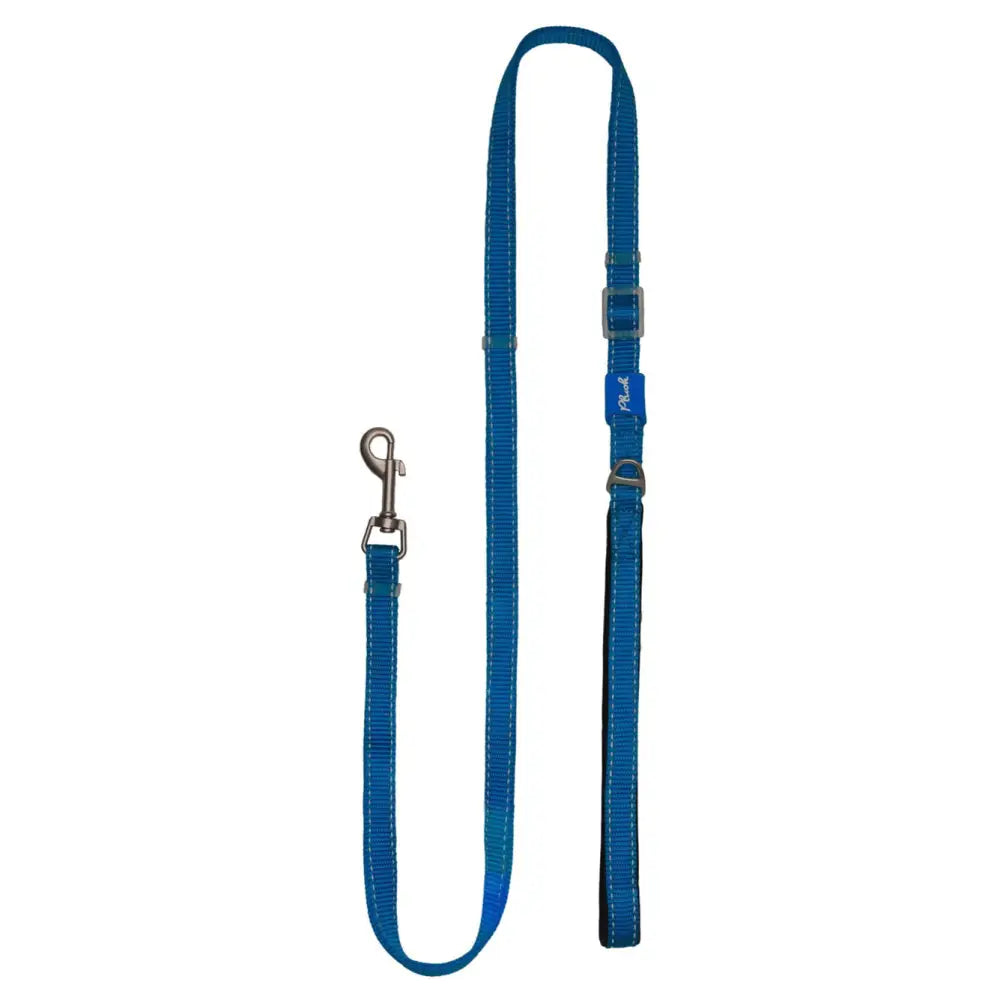 Adjustable Reflective Dog Leash with Padded Handle, Nylon & Neoprene