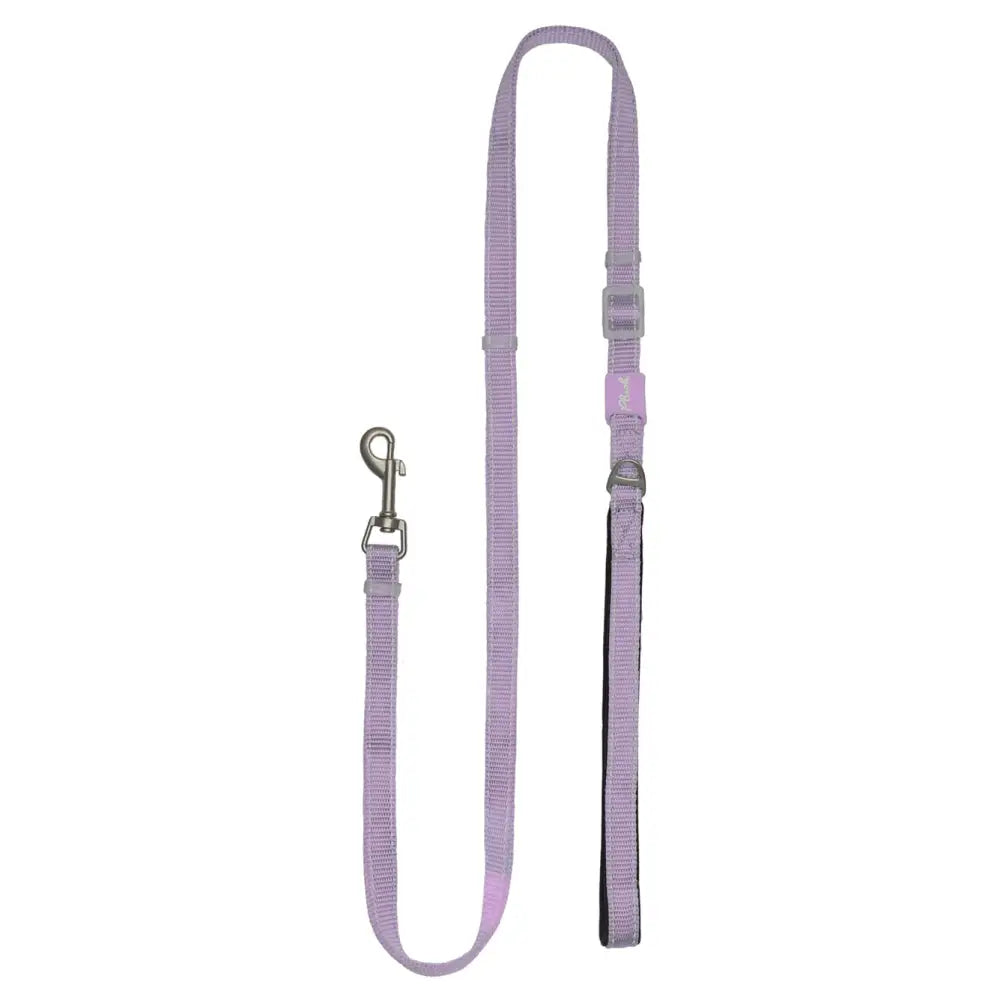 Adjustable Reflective Dog Leash with Padded Handle, Nylon & Neoprene