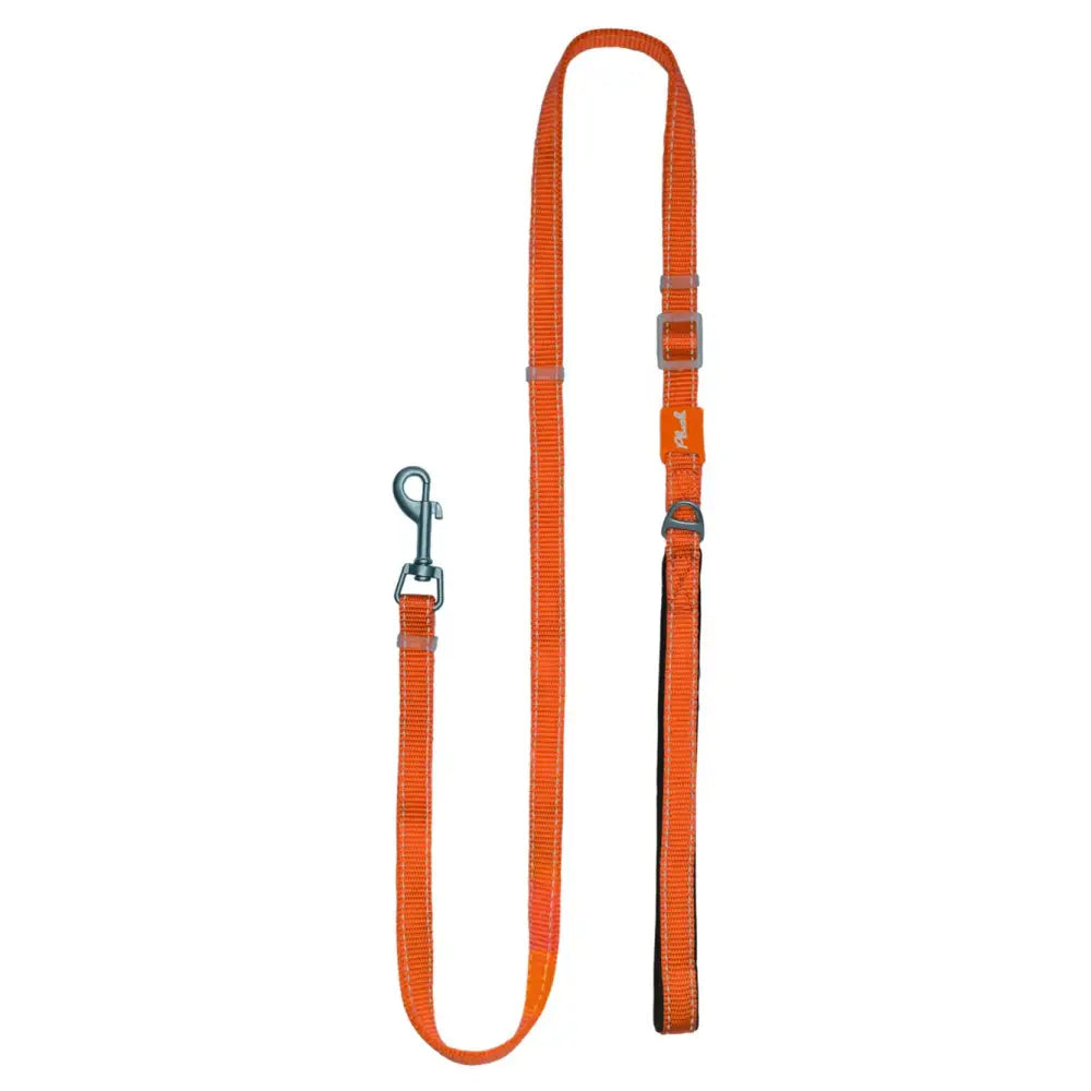 Adjustable Reflective Dog Leash with Padded Handle, Nylon & Neoprene