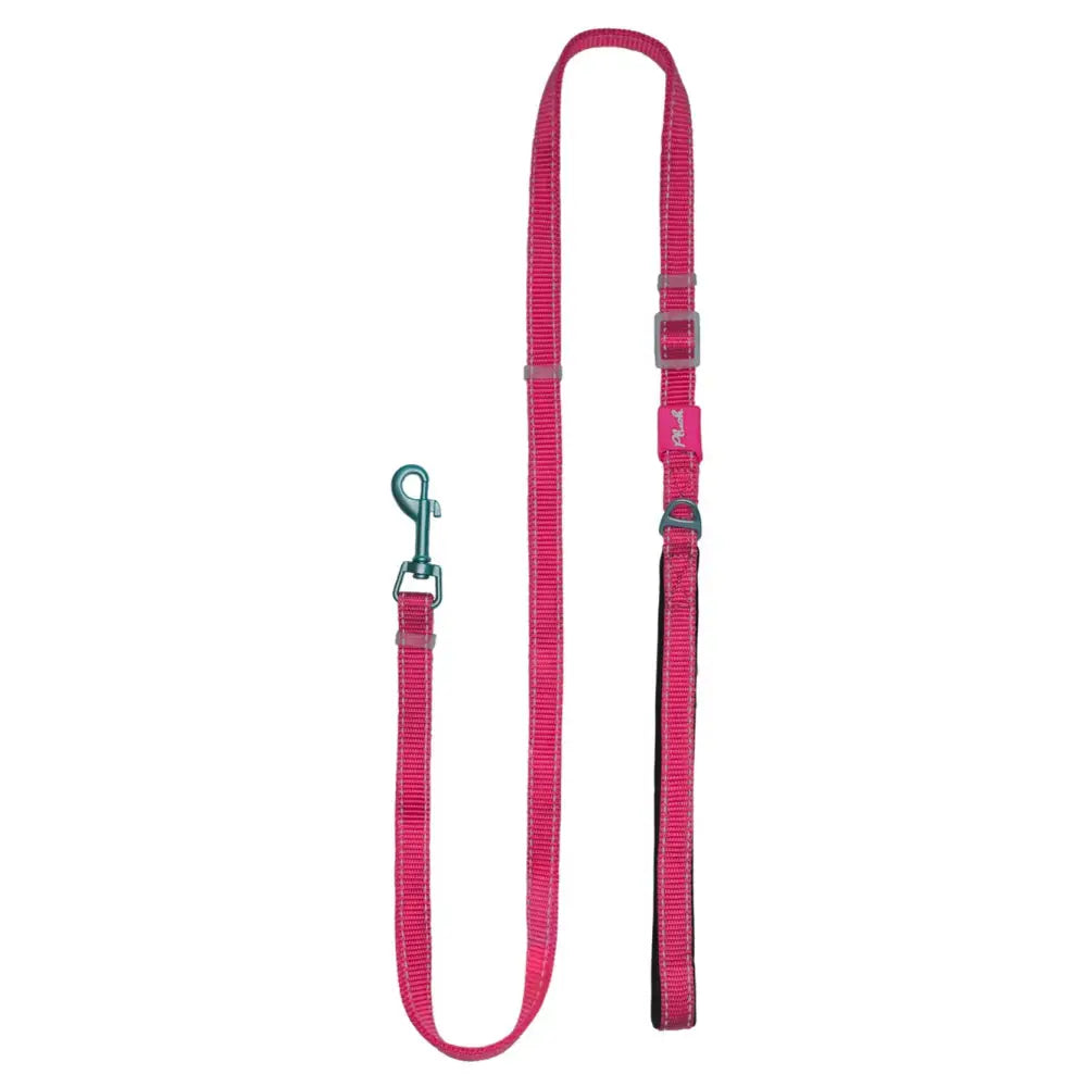Adjustable Reflective Dog Leash with Padded Handle, Nylon & Neoprene
