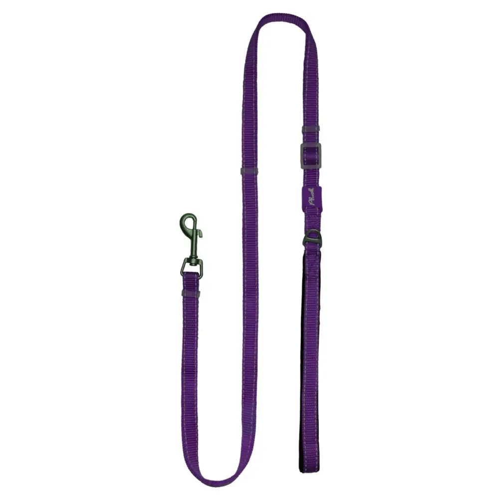 Adjustable Reflective Dog Leash with Padded Handle, Nylon & Neoprene