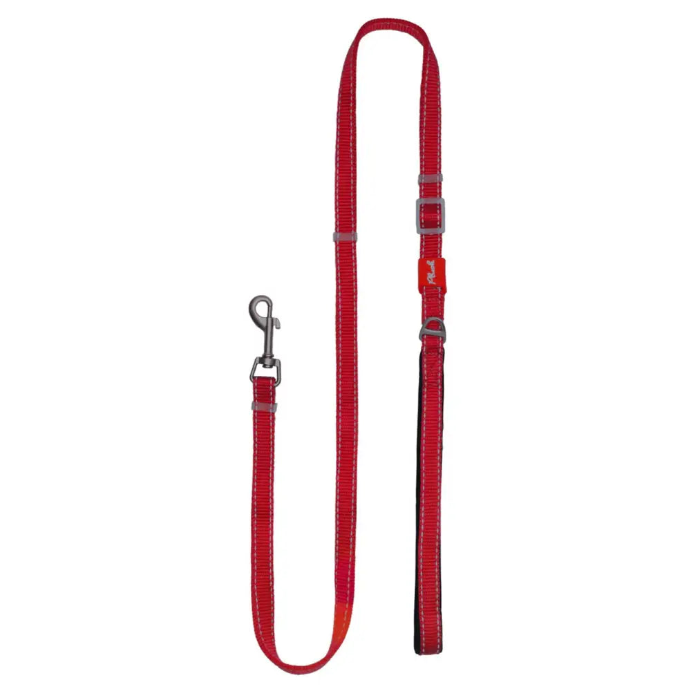 Adjustable Reflective Dog Leash with Padded Handle, Nylon & Neoprene