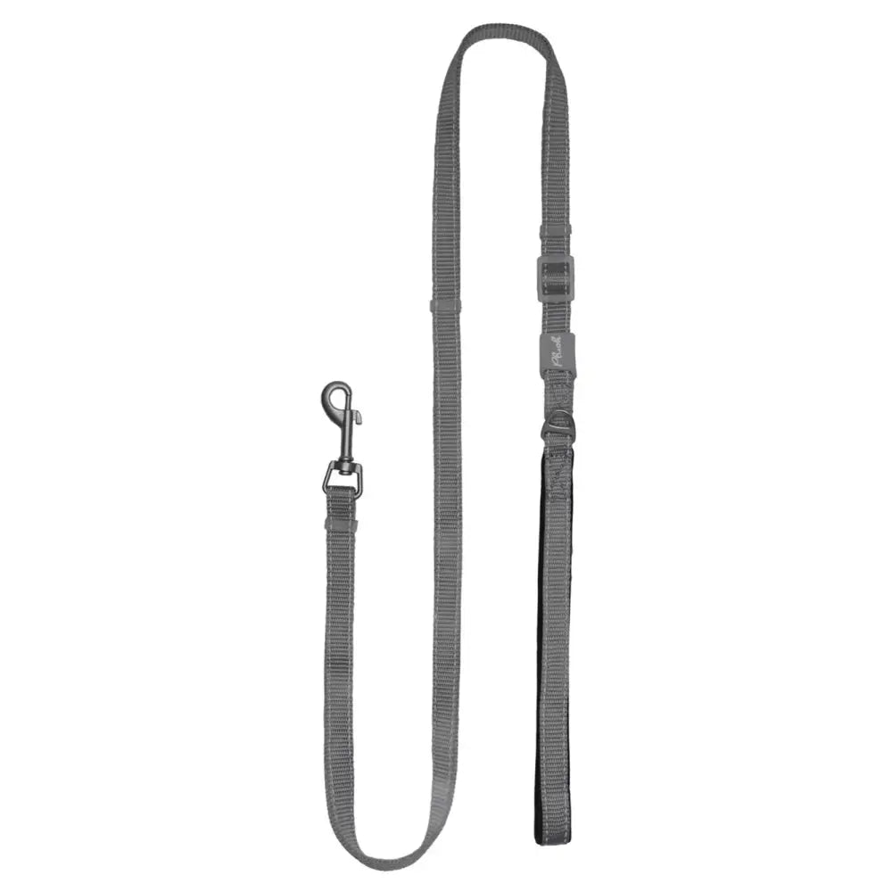 Adjustable Reflective Dog Leash with Padded Handle, Nylon & Neoprene