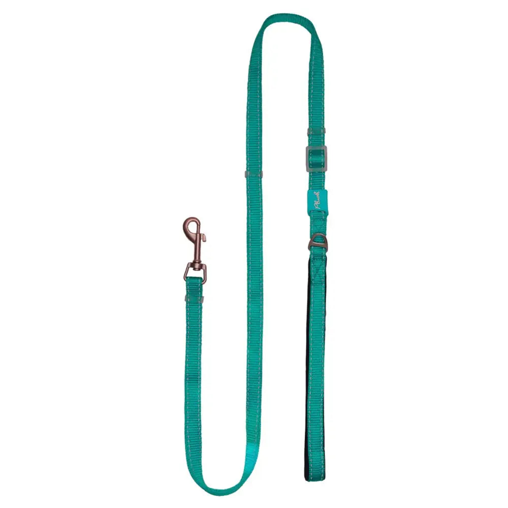 Adjustable Reflective Dog Leash with Padded Handle, Nylon & Neoprene