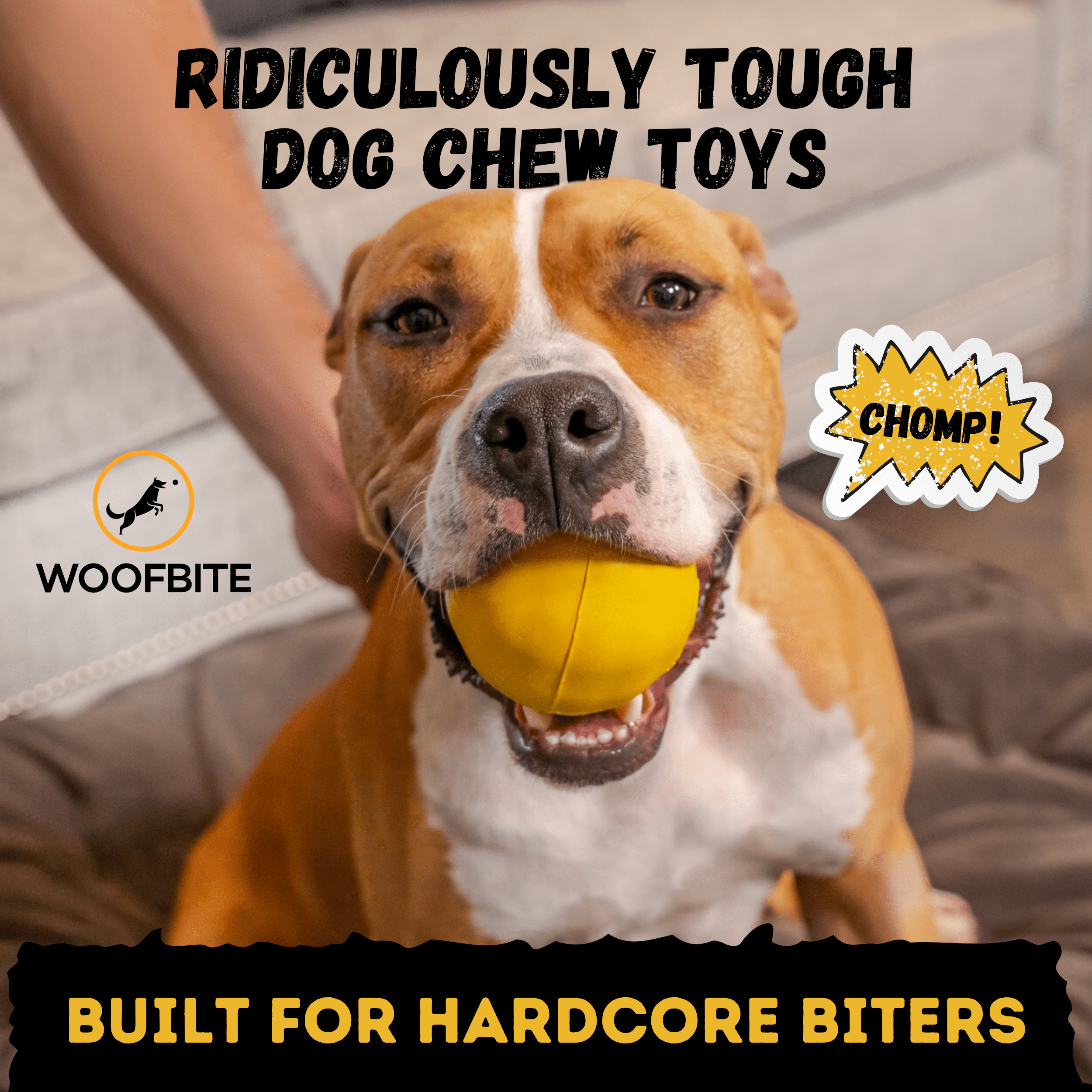 Heavy-Duty Natural Rubber Dog Chew Toy for Large Breeds