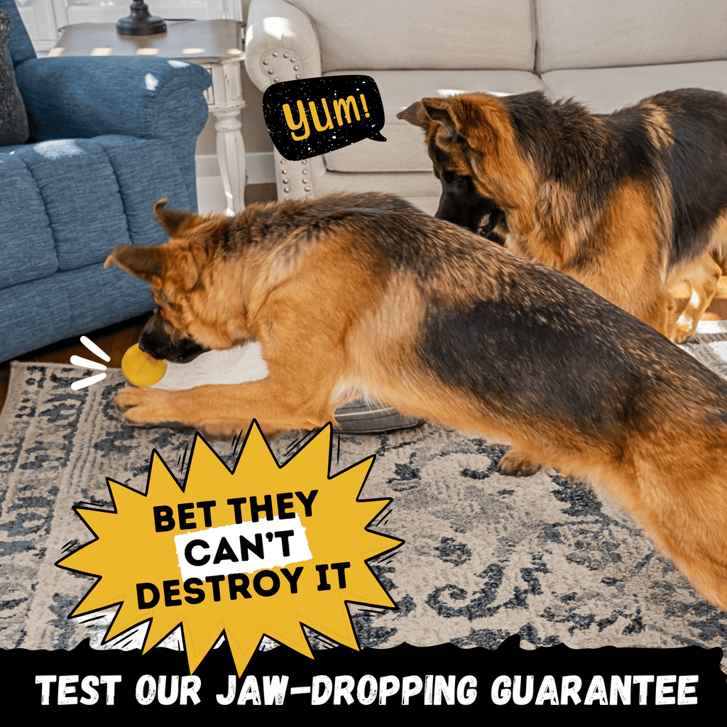 Heavy-Duty Natural Rubber Dog Chew Toy for Large Breeds