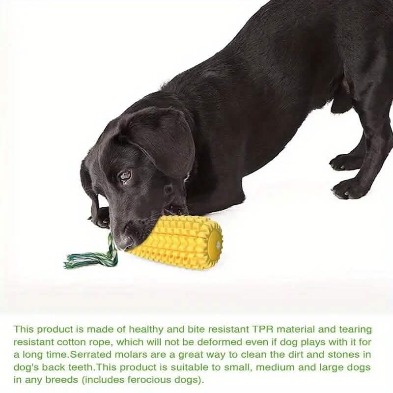 Puppy Dog Chew Toy with Squeaker, Textured Corn Shape, 5.8 Inch