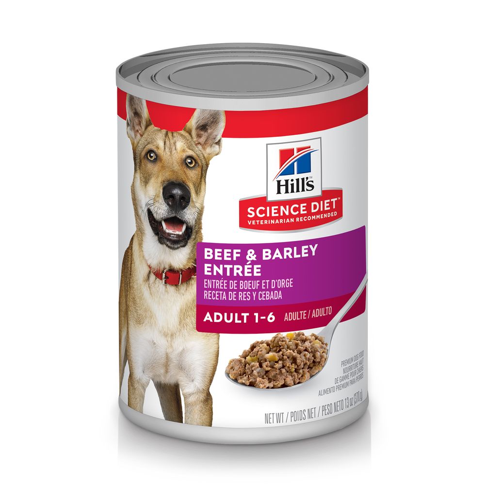 Beef & Barley Wet Dog Food for Adult Dogs, All Breeds