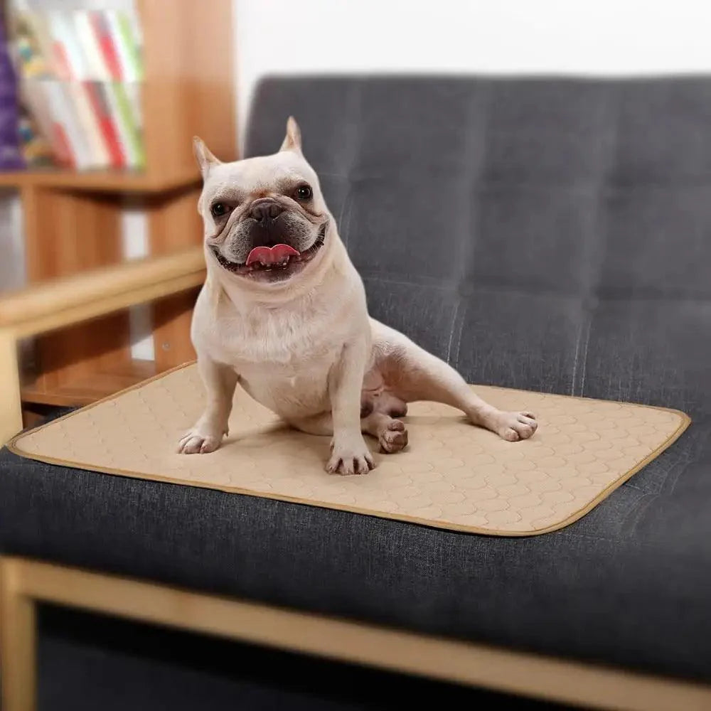 Washable Pet Diaper Mat with Non-Slip Backing, Grey or Beige