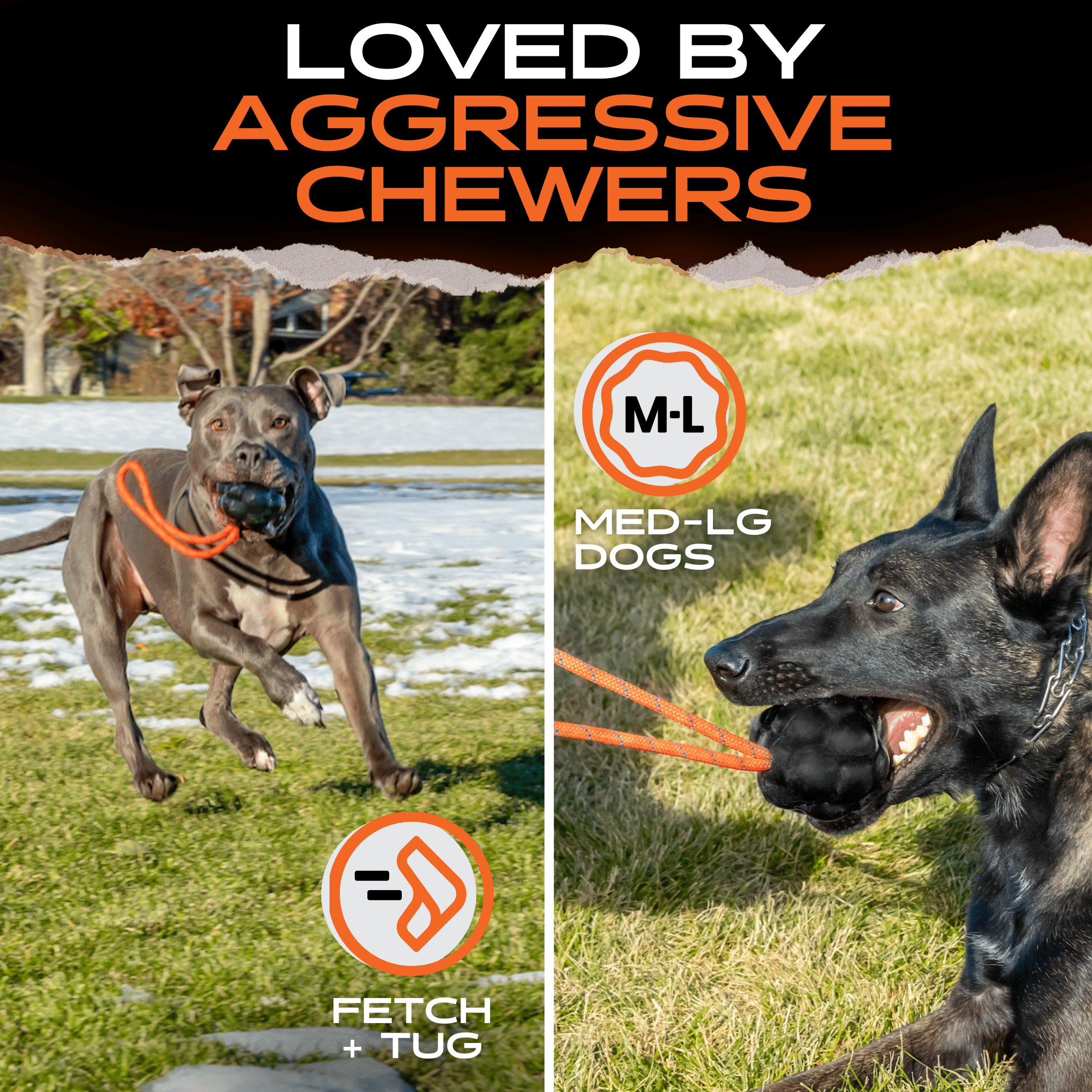 Heavy-Duty Natural Rubber Dog Toy with Rope Handle