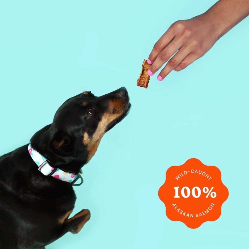 Wild-Caught Sockeye Salmon Dog Treats, Single Ingredient, 4 oz