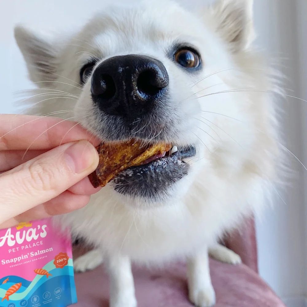 Wild-Caught Sockeye Salmon Dog Treats, Single Ingredient, 4 oz
