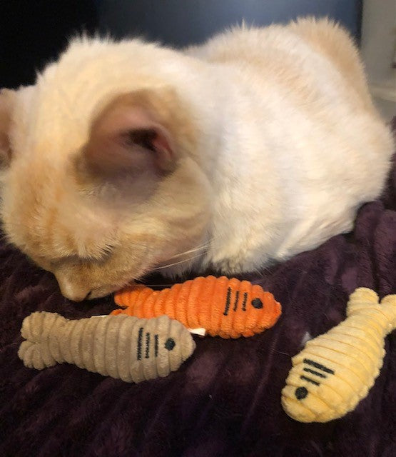 Sardinies Crinkle Catnip Cat Toy – Lightweight Fish for Play