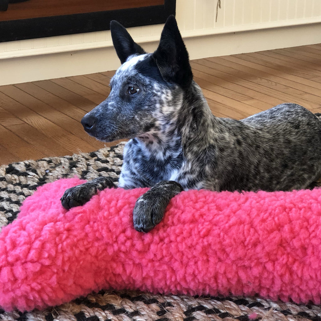 HuggleFleece Pink Bone Dog Toy – Limited Edition, Two Sizes