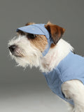Reflective Brim Knit Pet Hat with Adjustable Chin Strap