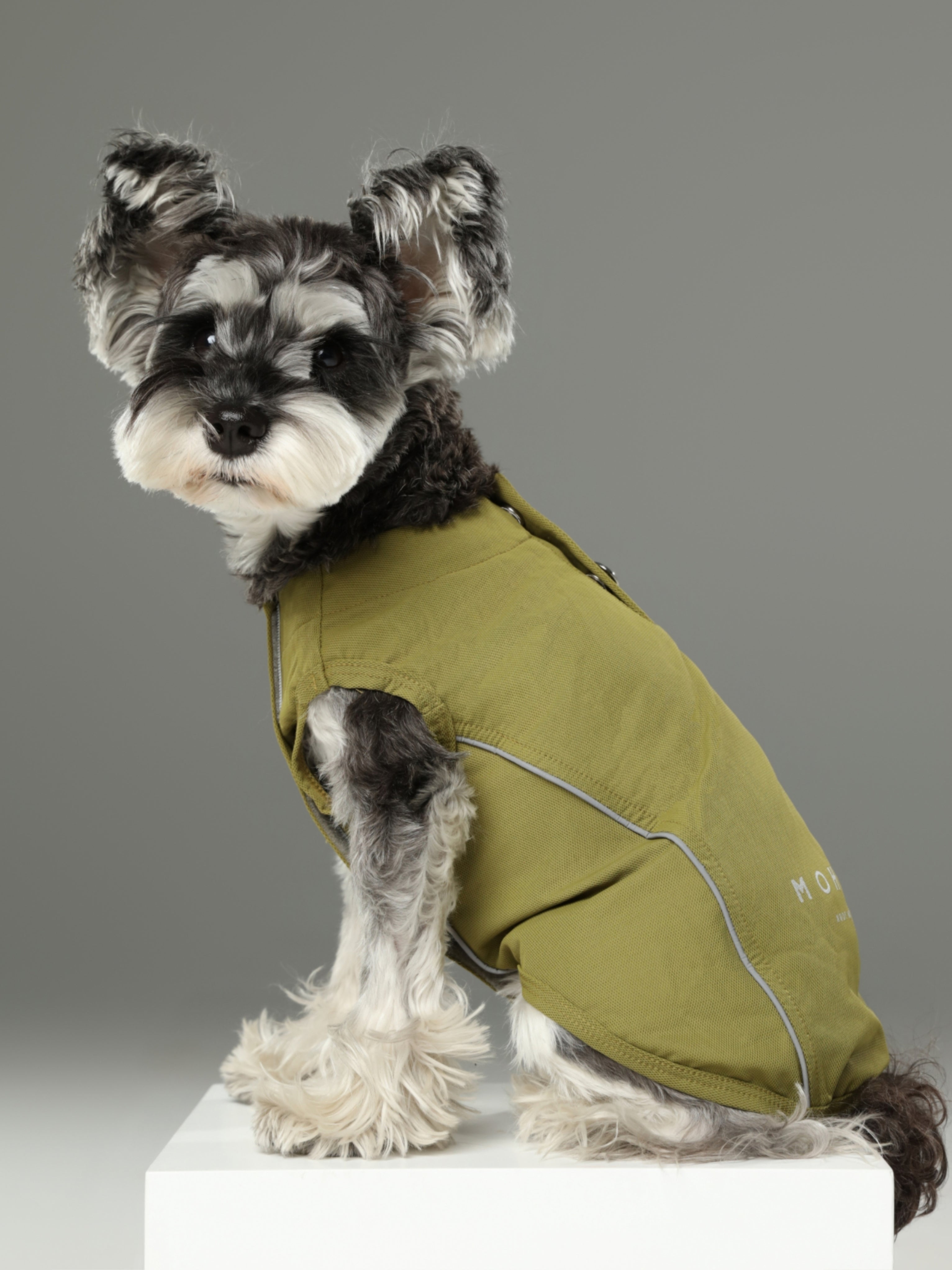 Lightweight Reflective Pet Raincoat with Adjustable Straps