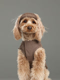 Reflective Brim Knit Pet Hat with Adjustable Chin Strap