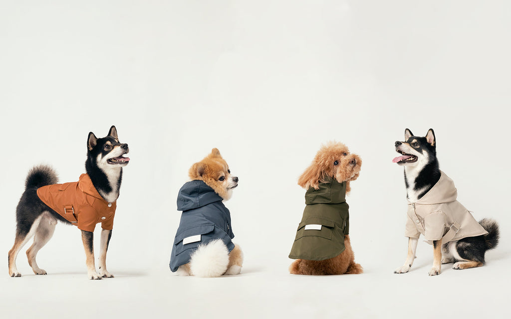 Water-Repellent Dog Jacket with Adjustable Belt and Back Pocket