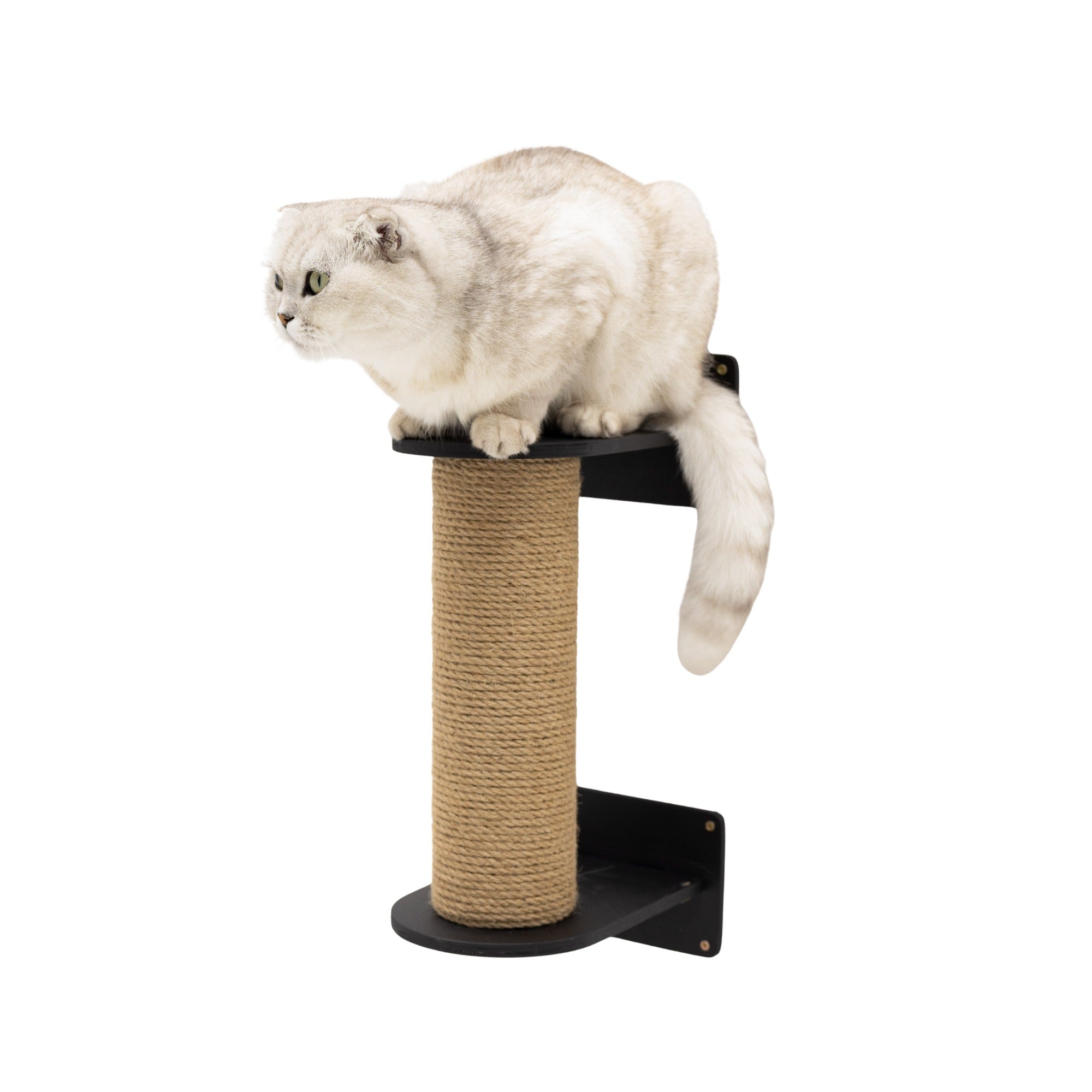Small Cat Tree – Black, Plywood and Felt, Compact Design