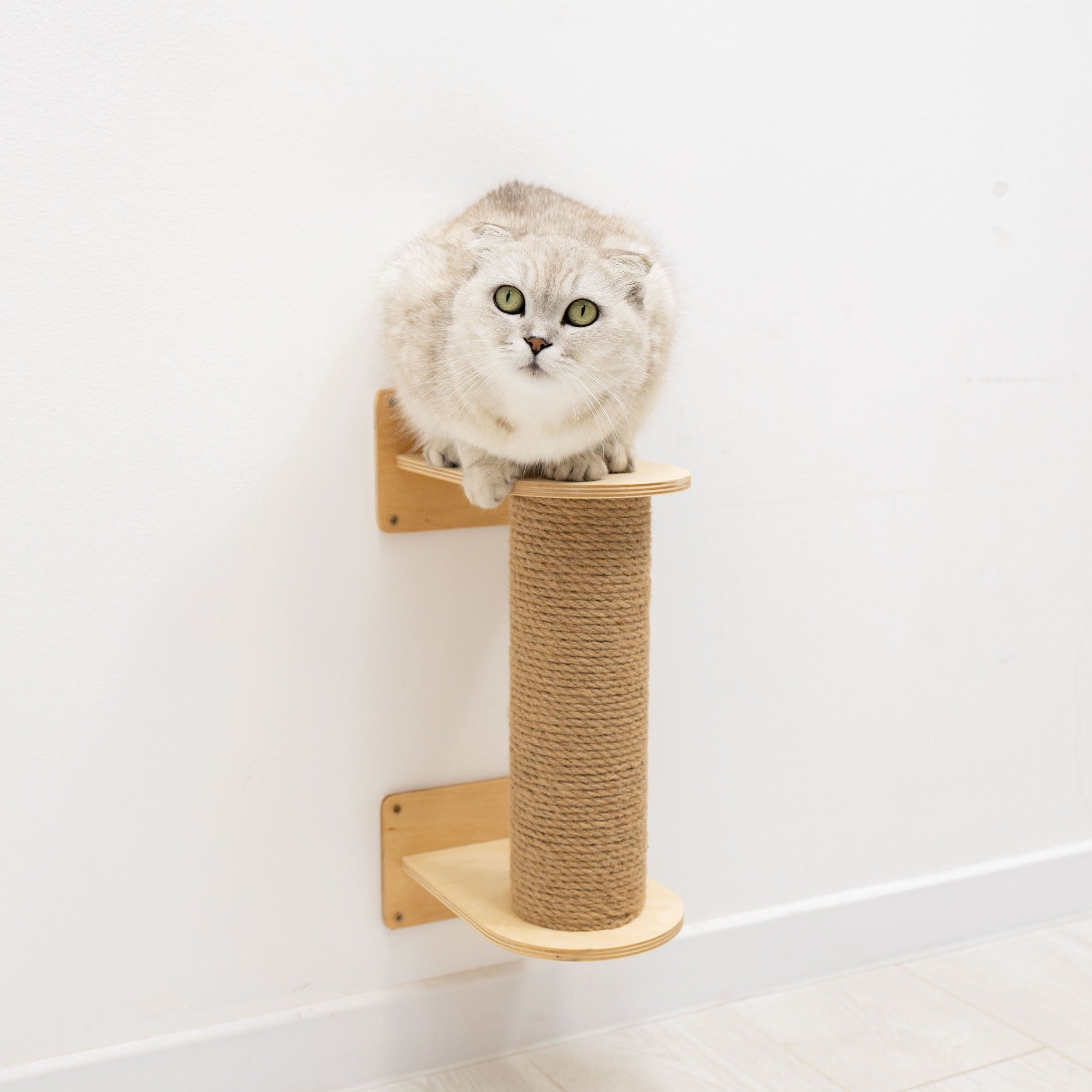 Small Cat Tree – Light, Compact Plywood & Felt for Kittens and Seniors