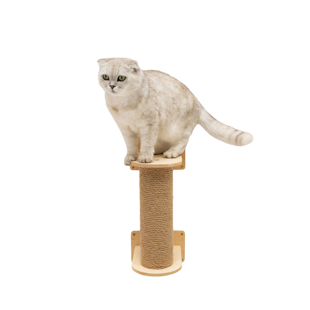Small Cat Tree – Light, Compact Plywood & Felt for Kittens and Seniors