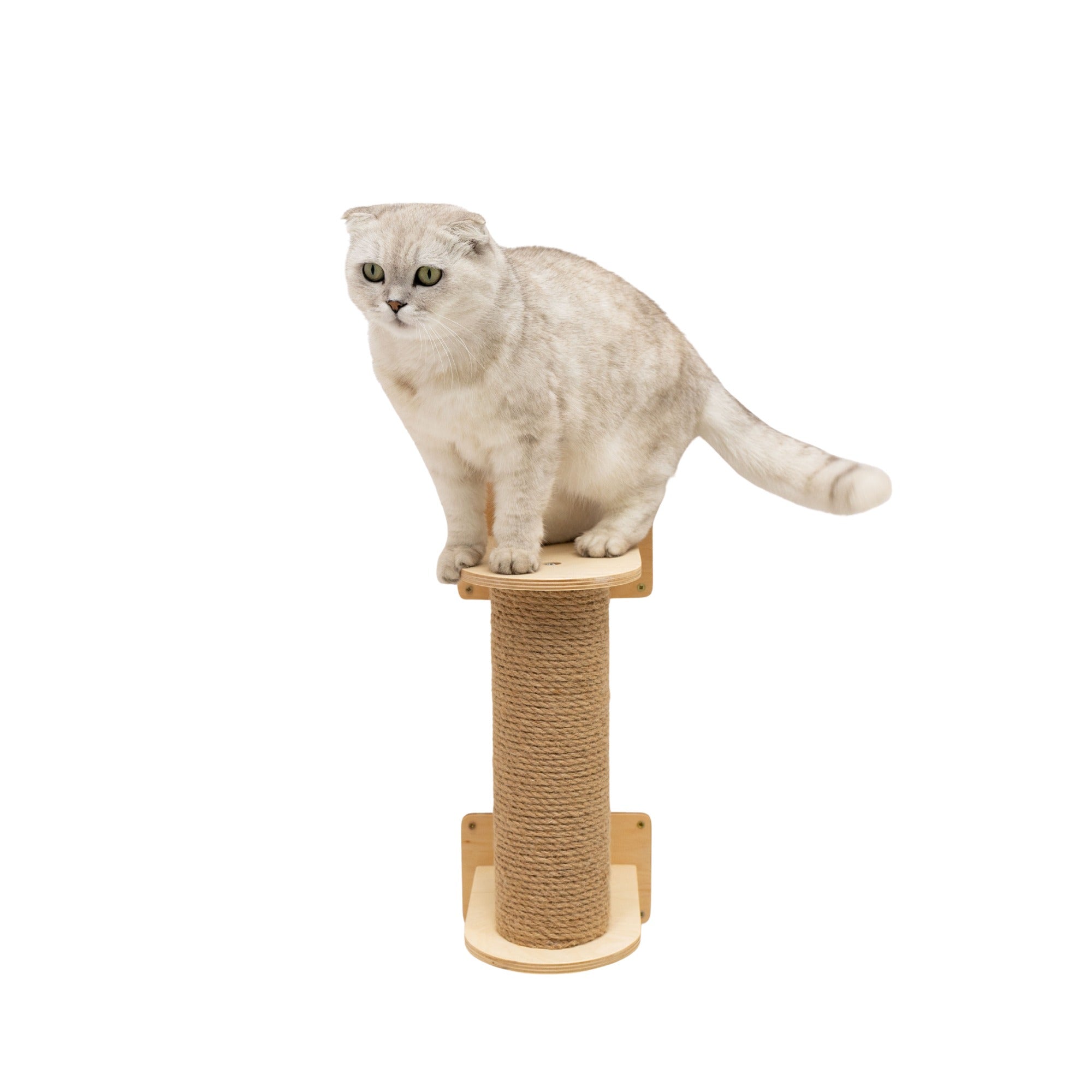 Small Cat Tree – Light, Compact Plywood & Felt for Kittens and Seniors