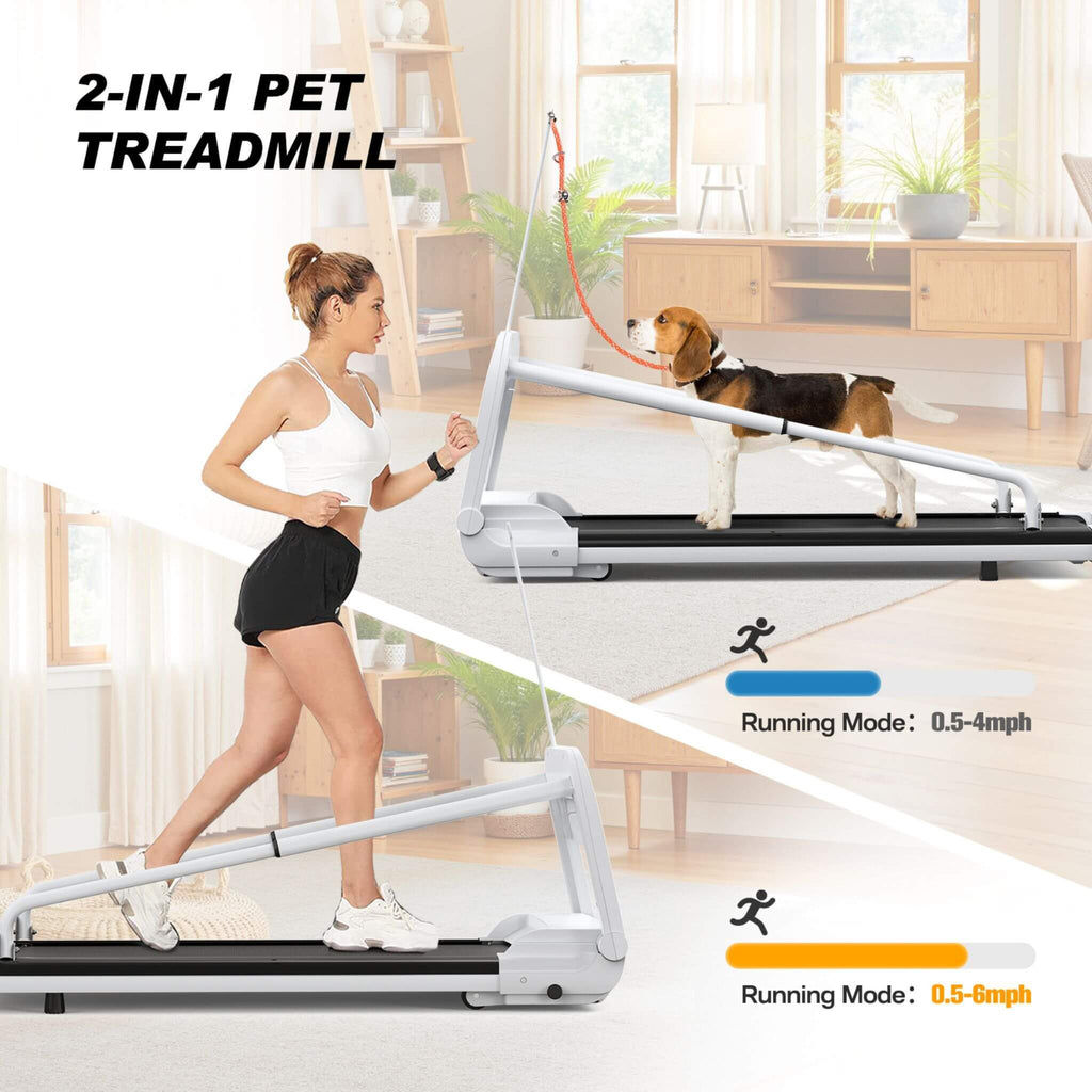 Smart Pet Treadmill for Small and Medium Dogs, Adjustable Speed