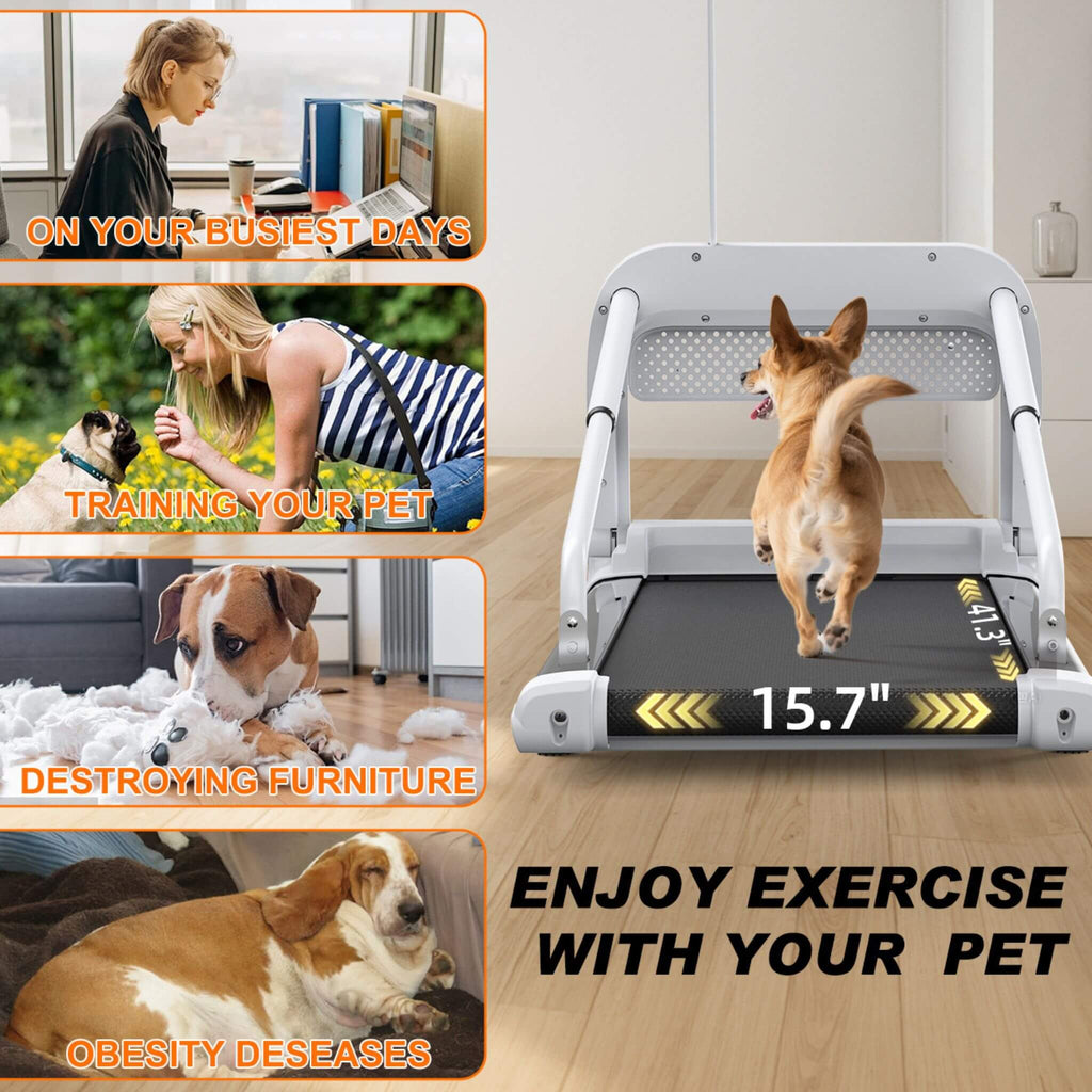 Smart Pet Treadmill for Small and Medium Dogs, Adjustable Speed