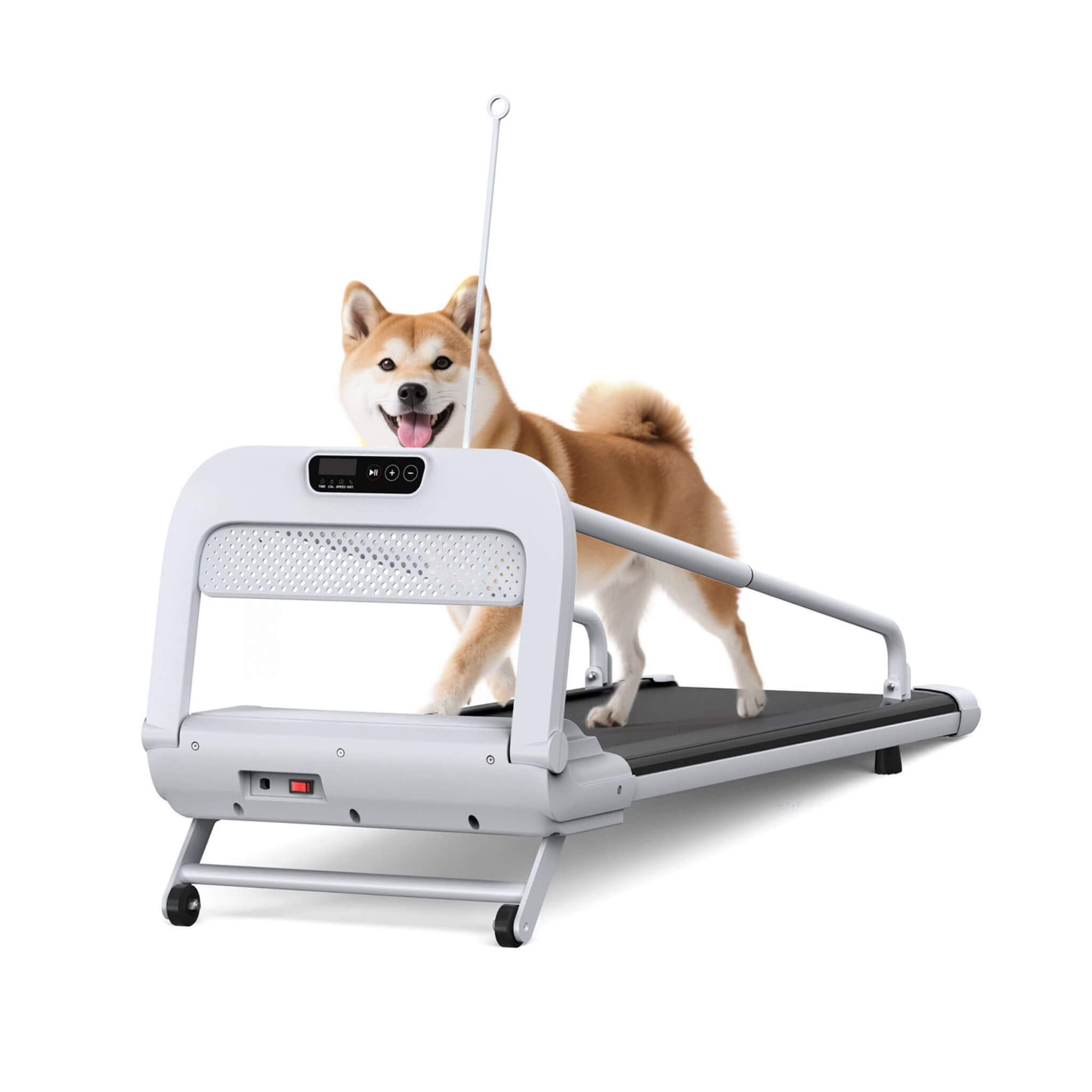 Smart Pet Treadmill for Small and Medium Dogs, Adjustable Speed