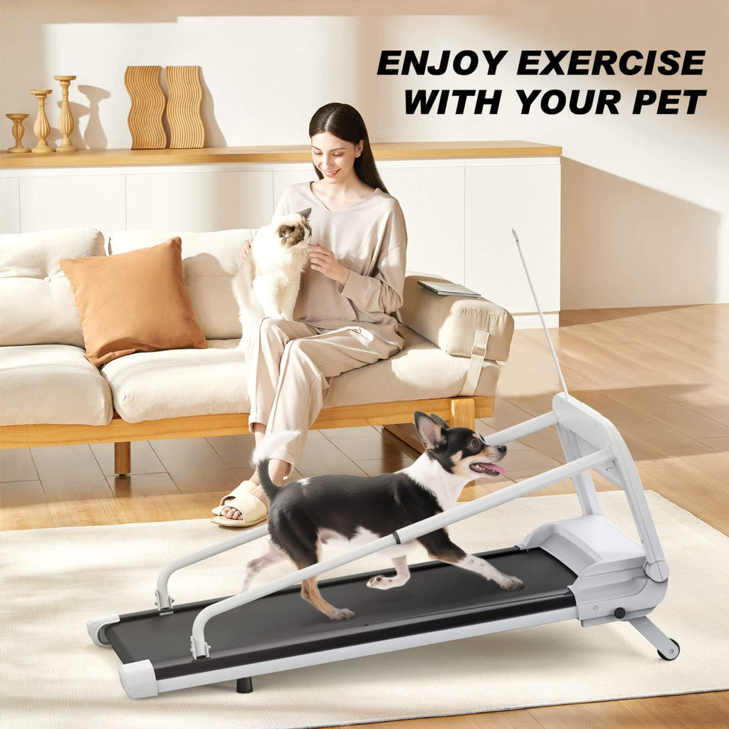 Smart Pet Treadmill for Small and Medium Dogs, Adjustable Speed