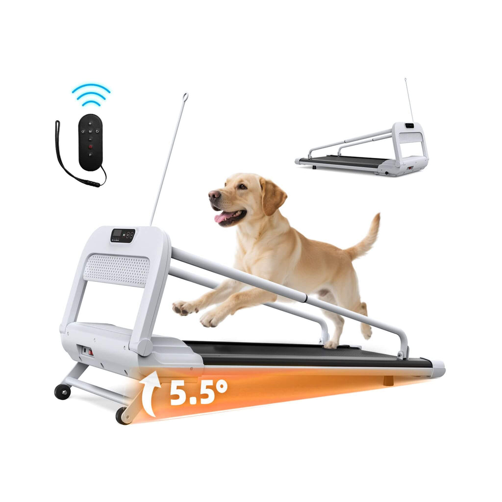 Smart Pet Treadmill for Small and Medium Dogs, Adjustable Speed