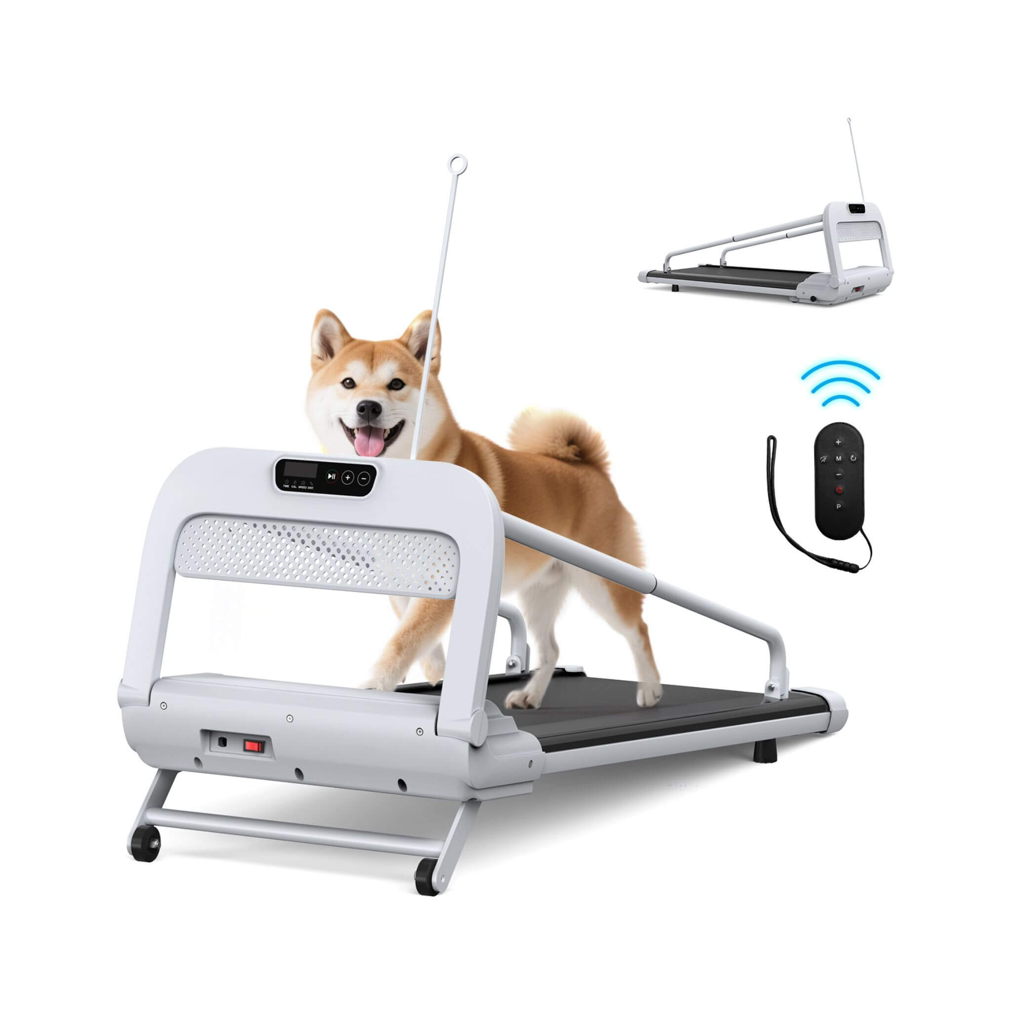 Smart Pet Treadmill for Small and Medium Dogs, Adjustable Speed