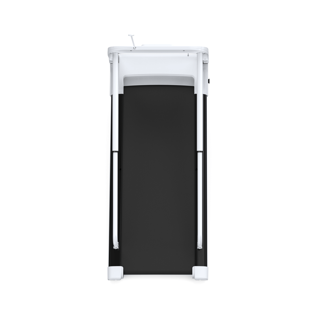 Smart Pet Treadmill for Small and Medium Dogs, Adjustable Speed