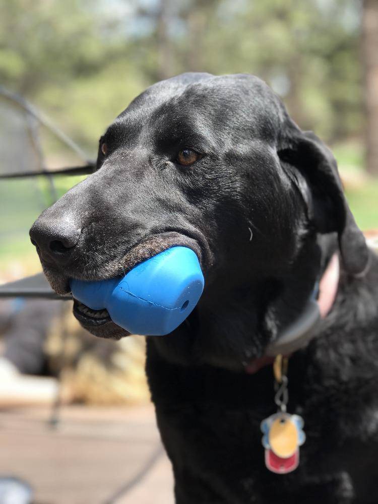 Double Trouble Durable Rubber Chew Toy & Treat Dispenser for Large Dogs