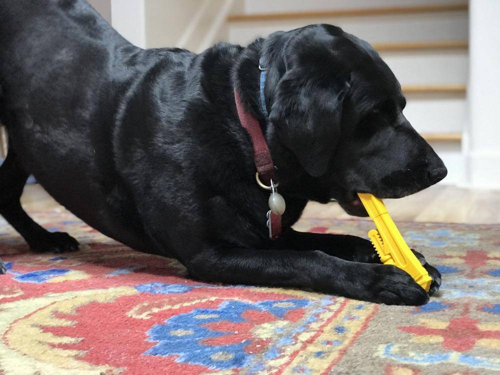 Pipe Wrench Nylon Dog Chew Toy – Durable Yellow Chew for All Dogs