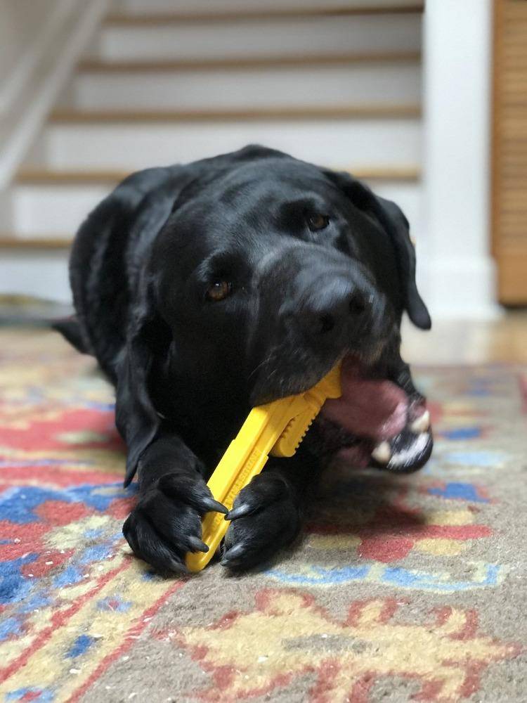 Pipe Wrench Nylon Dog Chew Toy – Durable Yellow Chew for All Dogs