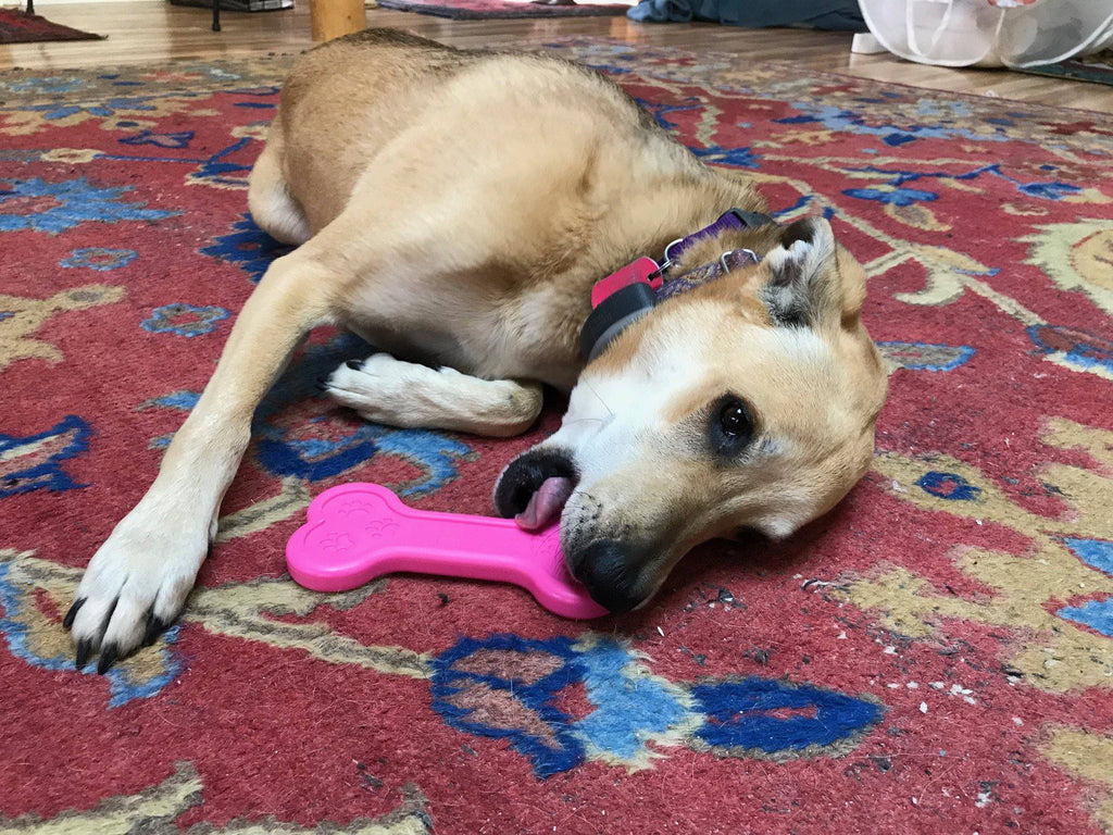 Bone eChew Ultra Durable Nylon Dog Chew Toy, 7" Pink